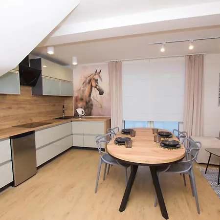 Appartamento Srebrna Podkowa W Gorach Kacwin