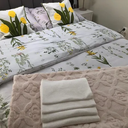 Srebrna Podkowa W Gorach شقة